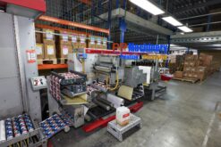 XEIKON CX500 Digital label press with Finishing line 500mm 20" printing width + GM Finishing line - Image 3